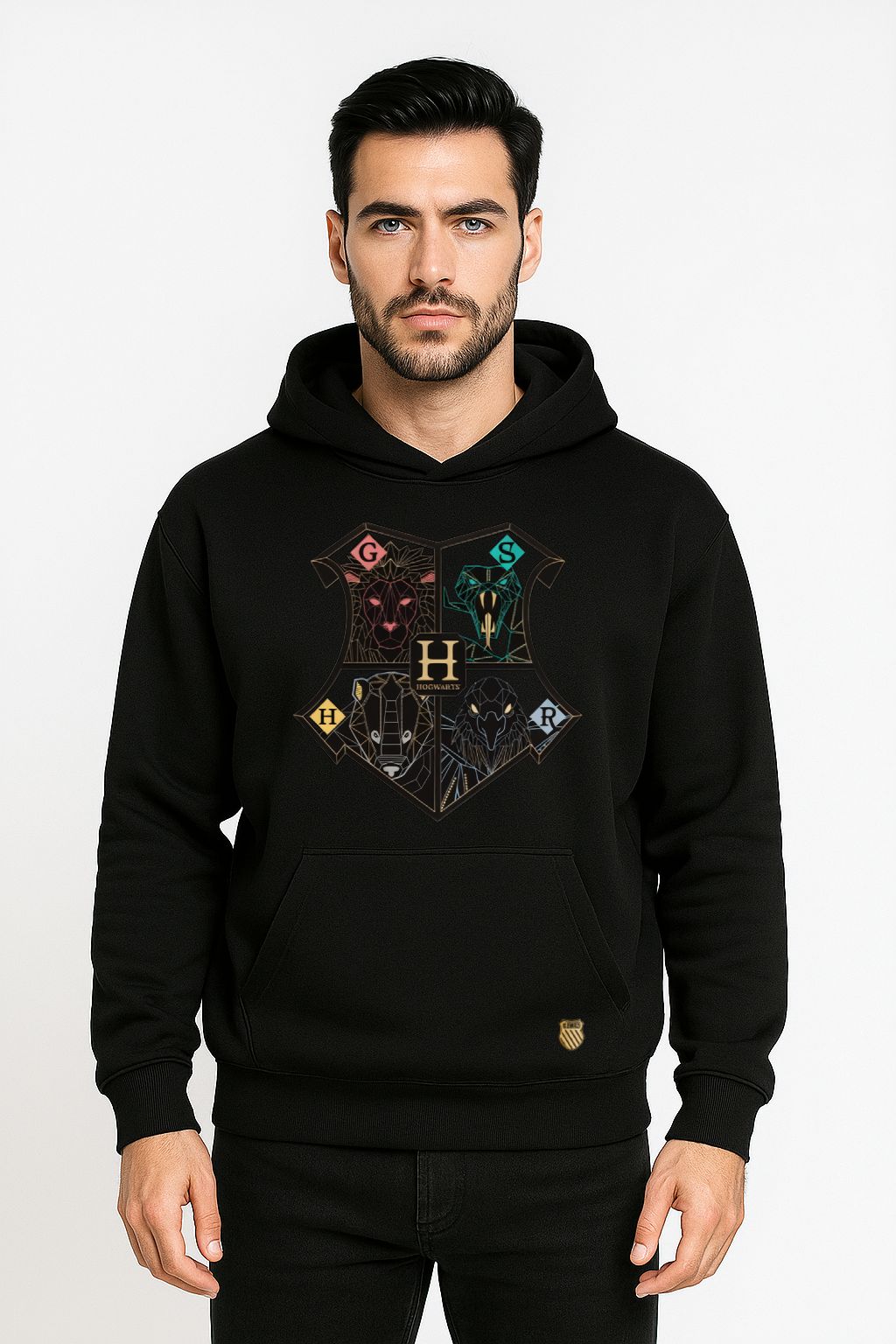 Sudadera Harry Potter Houses Men