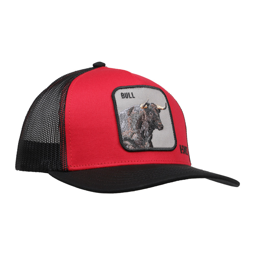 Gorra Toro